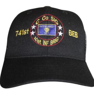 741ST TROOPER CO C SIG