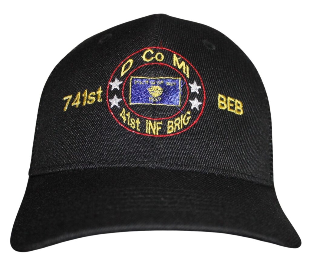 741ST TROOPER CO D MI