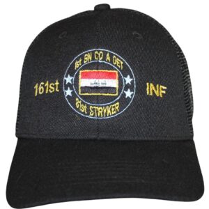 WA 1-161st INF A DET