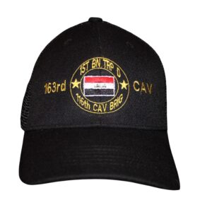 ID 1-163RD CAV D TROOP