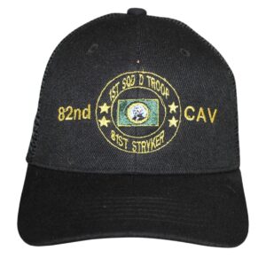 WA 1-82nd CAV D TROOP