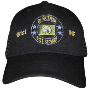 WA 3-161st INF