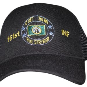 WA 3-161st INF C DET